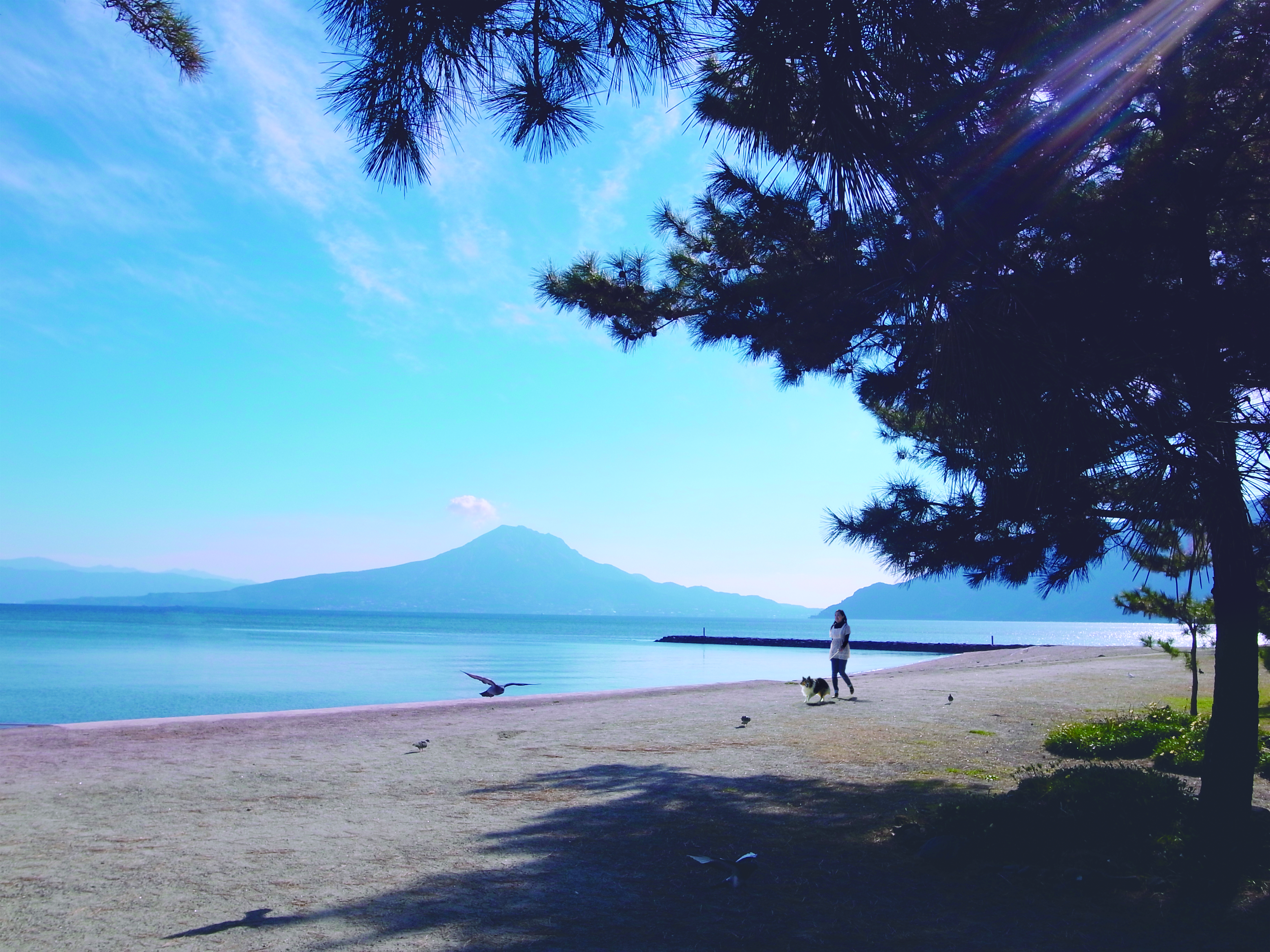 海や滝などの豊かな自然