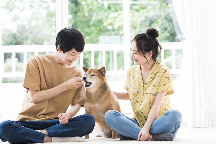 仙台市にある結婚相談所29社のおすすめ人気ランキング