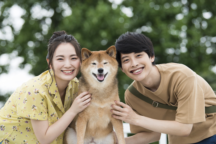 川崎市にある結婚相談所22社のおすすめ人気ランキング【口コミも!】
